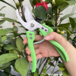 Stainless Steel Bonsai Trimmer - Cutting Tools - jyl.aibibula.cn